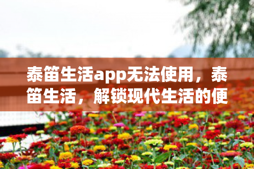 泰笛生活app无法使用，泰笛生活，解锁现代生活的便捷与品质