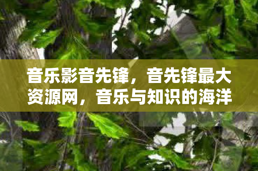 音乐影音先锋，音先锋最大资源网，音乐与知识的海洋