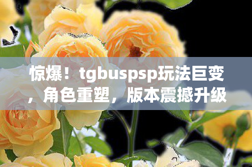 tgbuspsp玩法巨变图片