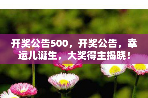 开奖公告500,开奖公告,幸运儿诞生,大奖得主揭晓! 开奖公告500,开奖公告,幸运儿诞生,大奖得主揭晓!