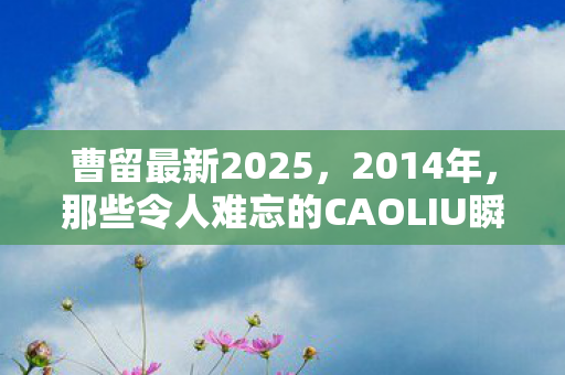 曹留最新2025，2014年，那些令人难忘的CAOLIU瞬间