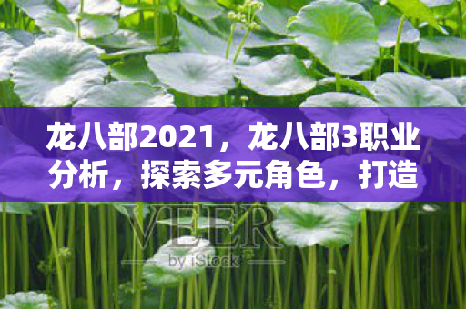 龙八部2021,龙八部3职业分析,探索多元角色,打造专属战斗体验 龙八部2021,龙八部3职业分析,探索多元角色,打造专属战斗体验