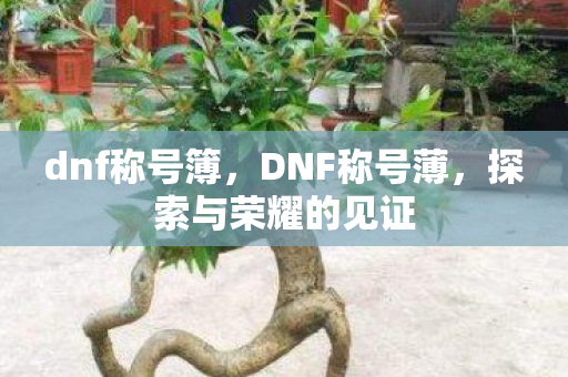 dnf称号簿，DNF称号薄，探索与荣耀的见证