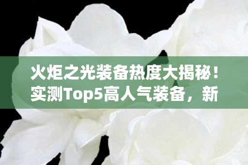 火炬之光装备热度大揭秘图片