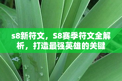 s8新符文，S8赛季符文全解析，打造最强英雄的关键