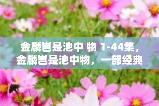 金麟岂是池中 物 1-44集,金麟岂是池中物,一部经典小说的深度解析与下载指南 金麟岂是池中 物 1-44集,金麟岂是池中物,一部经典小说的深度解析与下载指南
