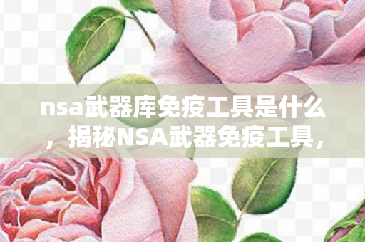 nsa武器库免疫工具是什么，揭秘NSA武器免疫工具，技术与安全的双刃剑