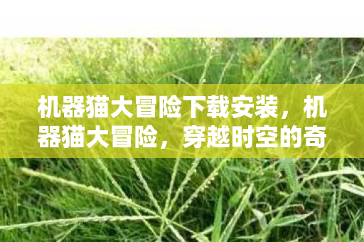 机器猫大冒险下载安装，机器猫大冒险，穿越时空的奇妙之旅