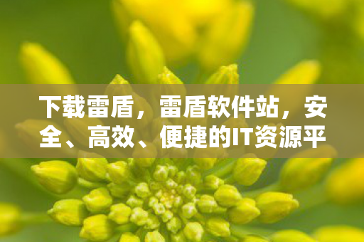下载雷盾,雷盾软件站,安全、高效、便捷的IT资源平台 下载雷盾,雷盾软件站,安全、高效、便捷的IT资源平台