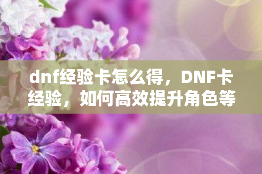 dnf经验卡怎么得，DNF卡经验，如何高效提升角色等级