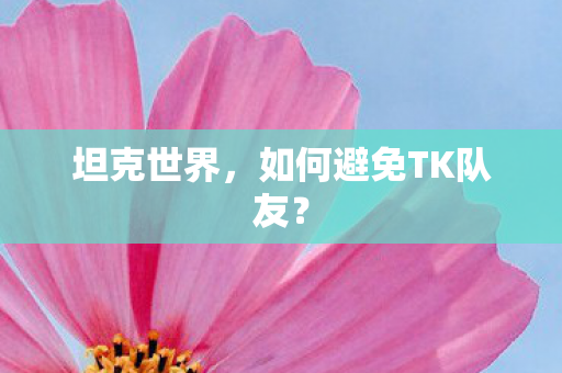 坦克世界，如何避免TK队友？
