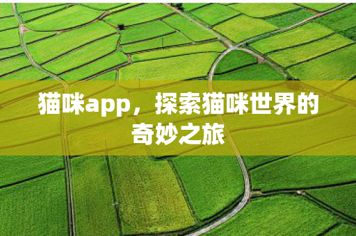 猫咪app,探索猫咪世界的奇妙之旅 猫咪app,探索猫咪世界的奇妙之旅