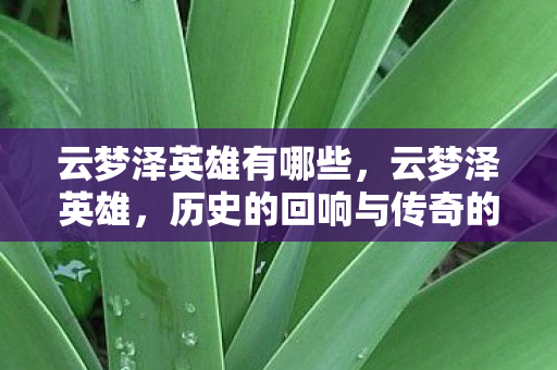 云梦泽英雄有哪些,云梦泽英雄,历史的回响与传奇的延续 云梦泽英雄有哪些,云梦泽英雄,历史的回响与传奇的延续