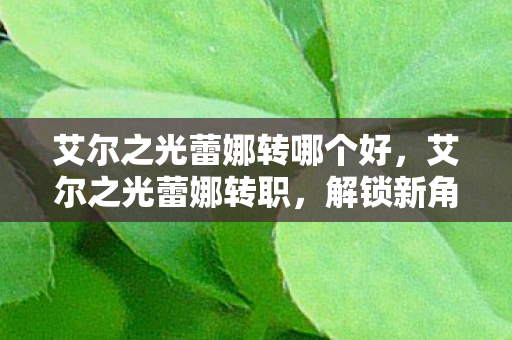 艾尔之光蕾娜转哪个好，艾尔之光蕾娜转职，解锁新角色，探索未知领域