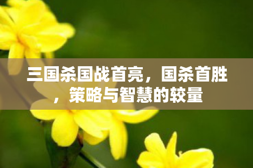 三国杀国战首亮,国杀首胜,策略与智慧的较量 三国杀国战首亮,国杀首胜,策略与智慧的较量