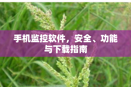 手机监控软件,安全、功能与下载指南 手机监控软件,安全、功能与下载指南