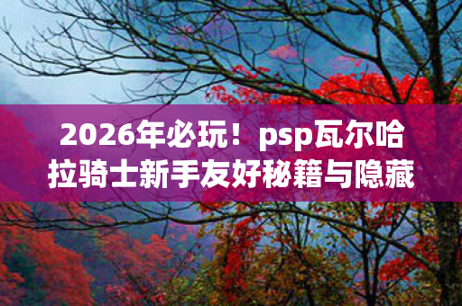 psp瓦尔哈拉骑士新手友好秘籍与隐藏玩法大揭秘图片