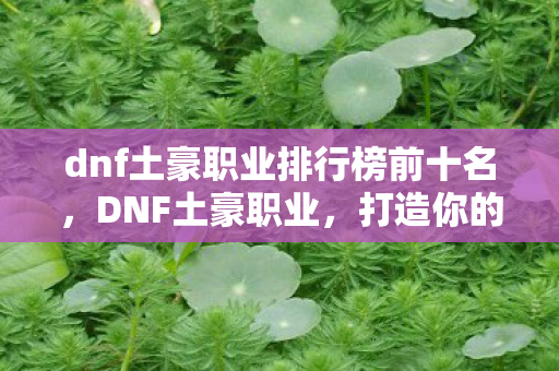 dnf土豪职业排行榜前十名，DNF土豪职业，打造你的终极角色
