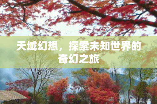 天域幻想，探索未知世界的奇幻之旅