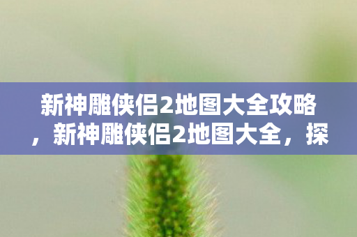 新神雕侠侣2地图大全攻略，新神雕侠侣2地图大全，探索武侠世界的奇幻之旅