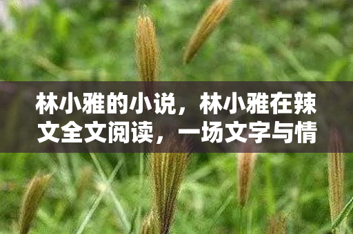 林小雅的小说,林小雅在辣文全文阅读,一场文字与情感的盛宴 林小雅的小说,林小雅在辣文全文阅读,一场文字与情感的盛宴