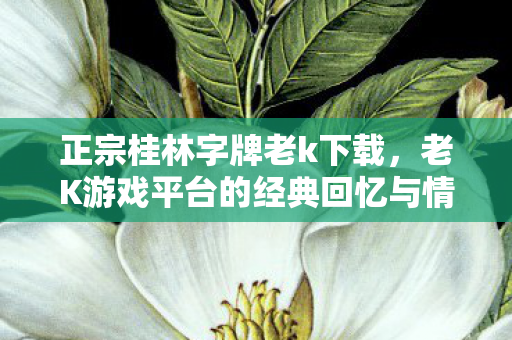 正宗桂林字牌老k下载,老K游戏平台的经典回忆与情怀 正宗桂林字牌老k下载,老K游戏平台的经典回忆与情怀