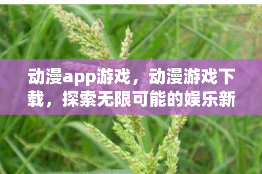 动漫app游戏,动漫游戏下载,探索无限可能的娱乐新领域 动漫app游戏,动漫游戏下载,探索无限可能的娱乐新领域