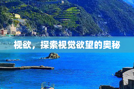 视欲,探索视觉欲望的奥秘 视欲,探索视觉欲望的奥秘