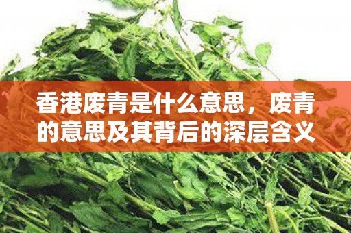 香港废青是什么意思，废青的意思及其背后的深层含义