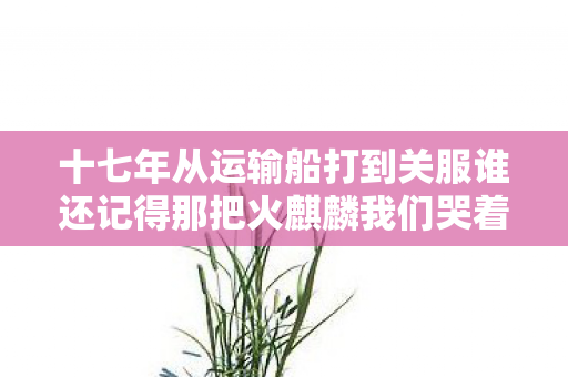 十七年从运输船打到关服谁还记得那把火麒麟我们哭着散场 十七年从运输船打到关服谁还记得那把火麒麟我们哭着散场