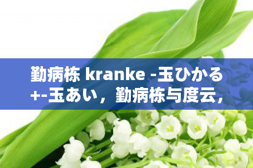 勤病栋 kranke -玉ひかる+-玉あい，勤病栋与度云，探索医疗与科技的融合之路