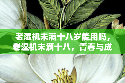 老湿机未满十八岁能用吗,老湿机未满十八,青春与成长的边界 老湿机未满十八岁能用吗,老湿机未满十八,青春与成长的边界
