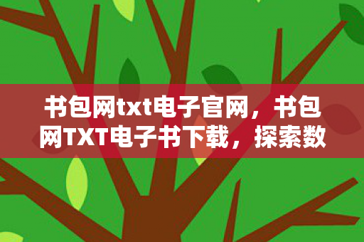 书包网txt电子官网，书包网TXT电子书下载，探索数字阅读的便捷与乐趣