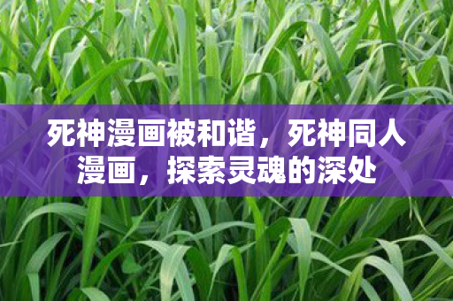 死神漫画被和谐，死神同人漫画，探索灵魂的深处