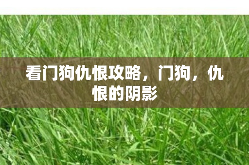 看门狗仇恨攻略,门狗,仇恨的阴影 看门狗仇恨攻略,门狗,仇恨的阴影