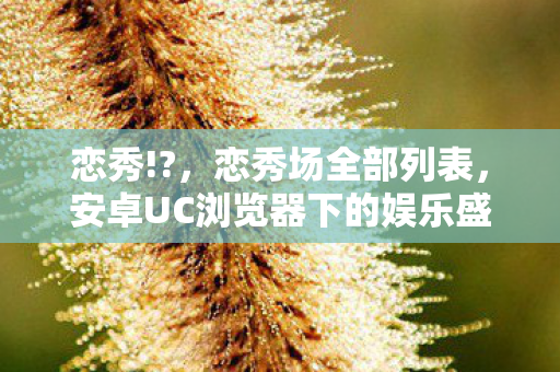 恋秀!?，恋秀场全部列表，安卓UC浏览器下的娱乐盛宴