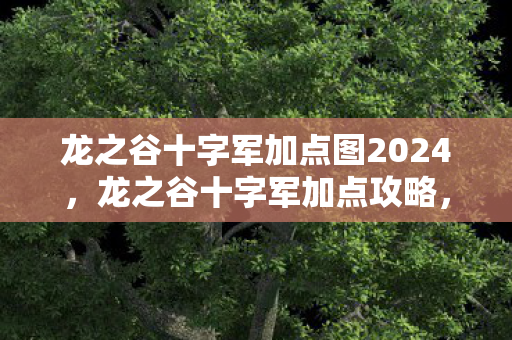 龙之谷十字军加点图2024，龙之谷十字军加点攻略，技能分配与提升策略