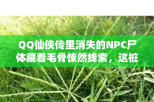 QQ仙侠传里消失的NPC尸体藏着毛骨悚然线索,这桩悬案凶手竟是你 QQ仙侠传里消失的NPC尸体藏着毛骨悚然线索,这桩悬案凶手竟是你