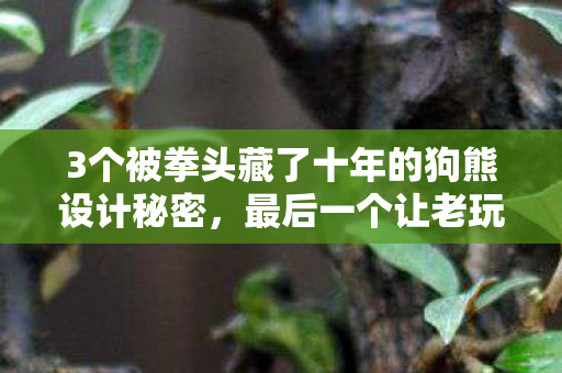 3个被拳头藏了十年的狗熊设计秘密，最后一个让老玩家彻底崩溃