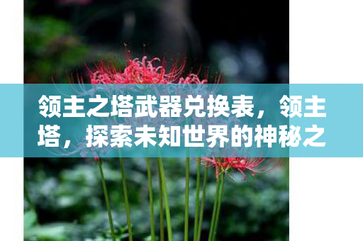 领主之塔武器兑换表，领主塔，探索未知世界的神秘之旅