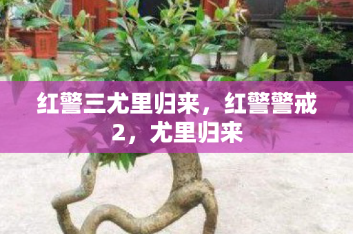 红警三尤里归来，红警警戒2，尤里归来