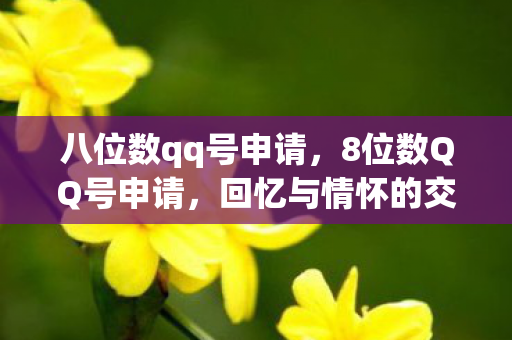 八位数qq号申请，8位数QQ号申请，回忆与情怀的交织