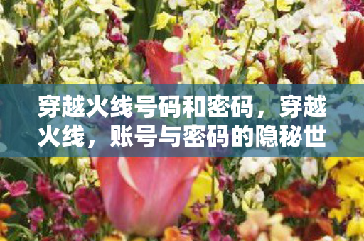 穿越火线号码和密码，穿越火线，账号与密码的隐秘世界