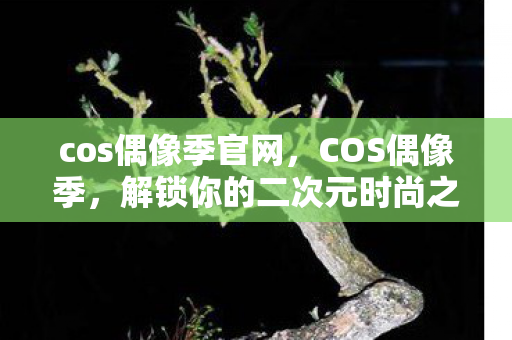 cos偶像季官网，COS偶像季，解锁你的二次元时尚之旅