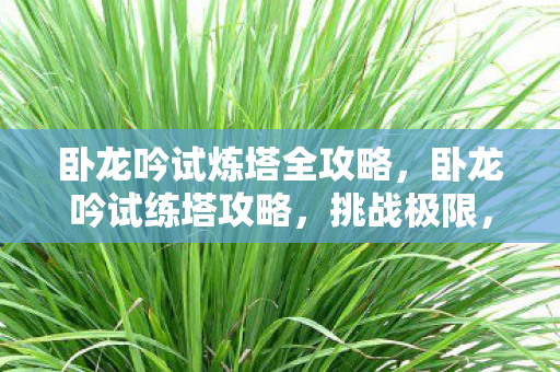 卧龙吟试炼塔全攻略，卧龙吟试练塔攻略，挑战极限，解锁荣耀
