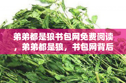 弟弟都是狼书包网免费阅读，弟弟都是狼，书包网背后的故事