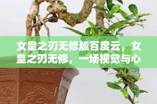 女皇之刃无修版百度云，女皇之刃无修，一场视觉与心灵的盛宴