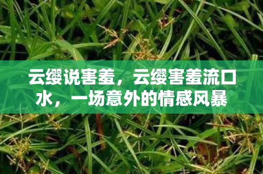云缨说害羞,云缨害羞流口水,一场意外的情感风暴 云缨说害羞,云缨害羞流口水,一场意外的情感风暴