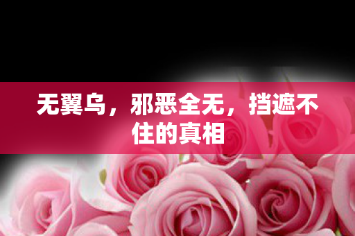 无翼乌，邪恶全无，挡遮不住的真相