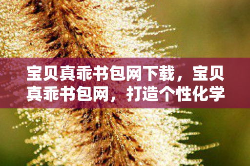 宝贝真乖书包网下载，宝贝真乖书包网，打造个性化学习新体验